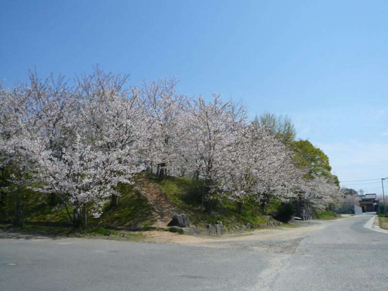 柳川城址