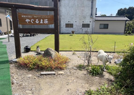 花和温泉的旅馆 矢车庄-3