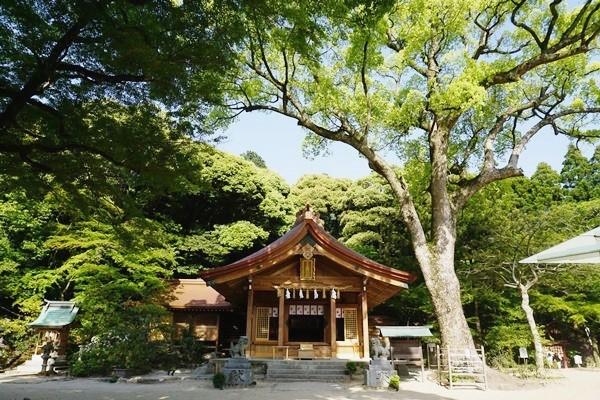 寶滿宮竈門神社-5