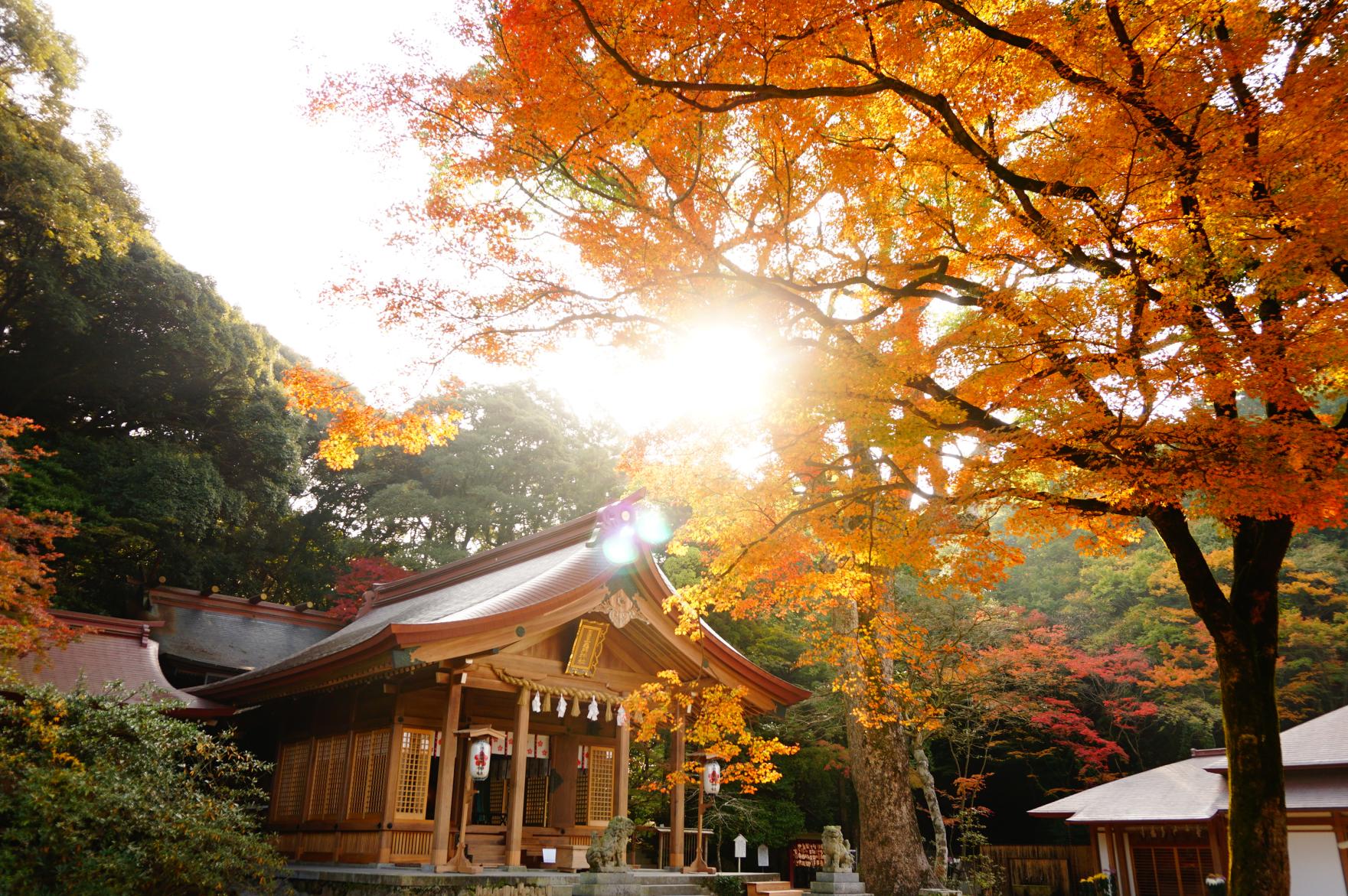 寶滿宮竈門神社-1