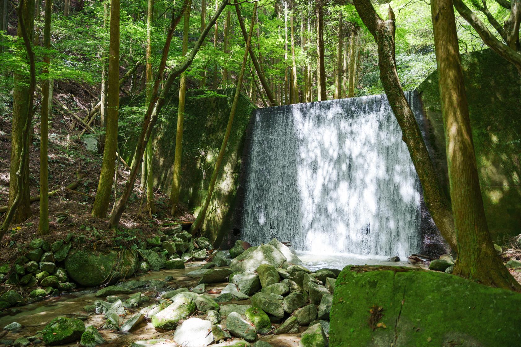 團圓餡兒-2