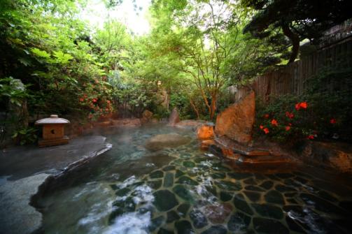 Taisenkaku (Japanese inn and hot spring)-4