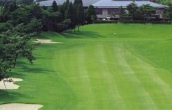 Yasukogen Country Club-3