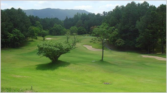 Wakamiya Golf Club-4