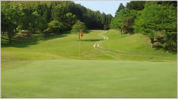 Wakamiya Golf Club-3