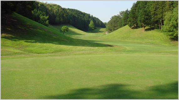 Wakamiya Golf Club-1