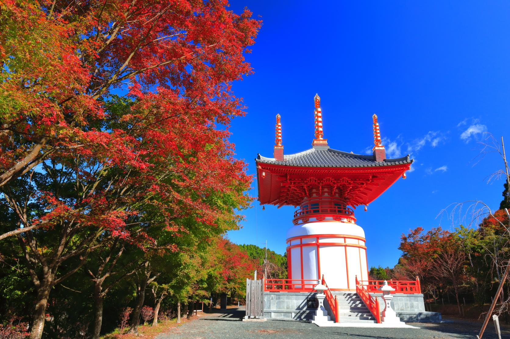 呑山観音寺-1