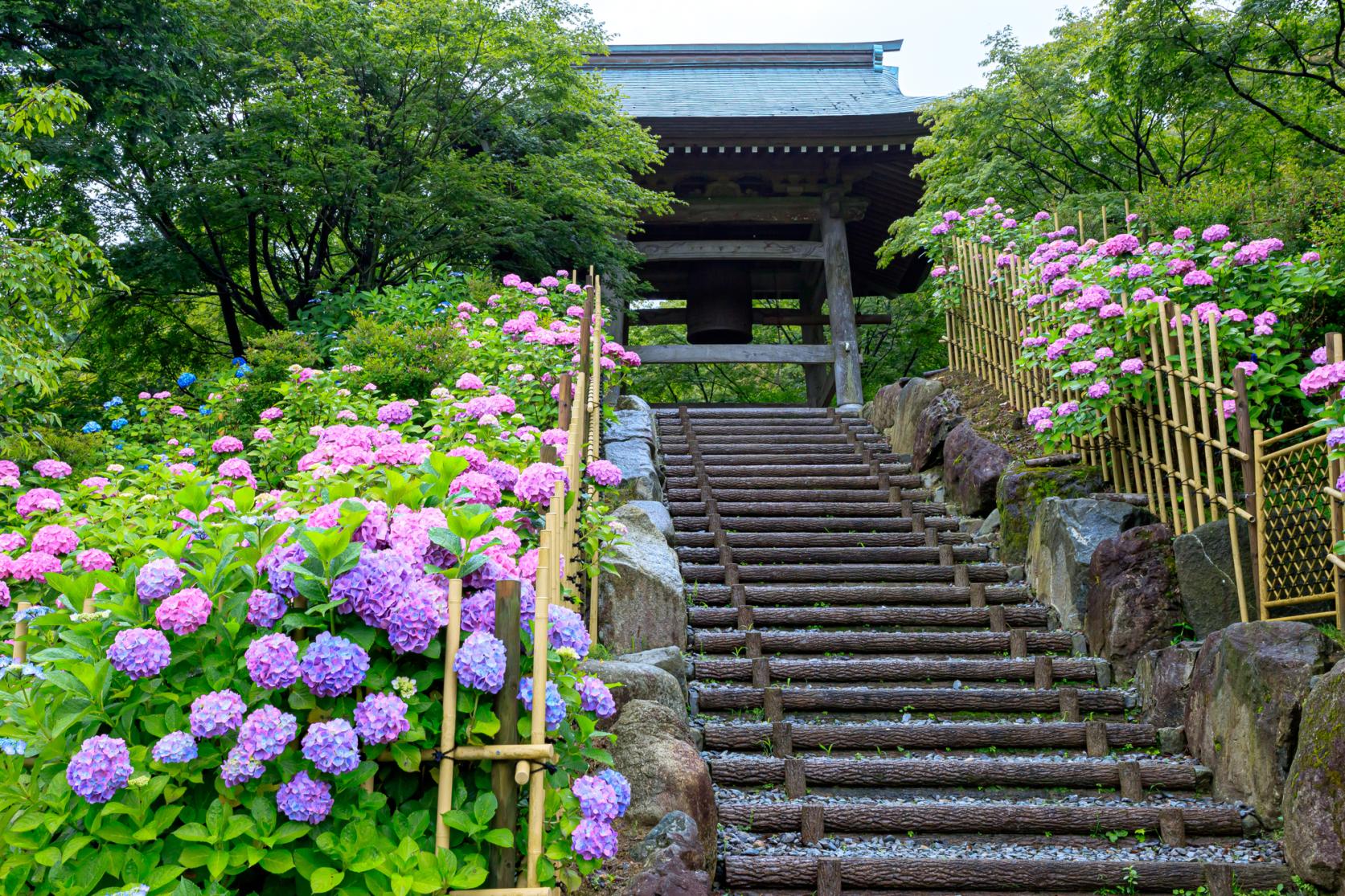 呑山観音寺-5