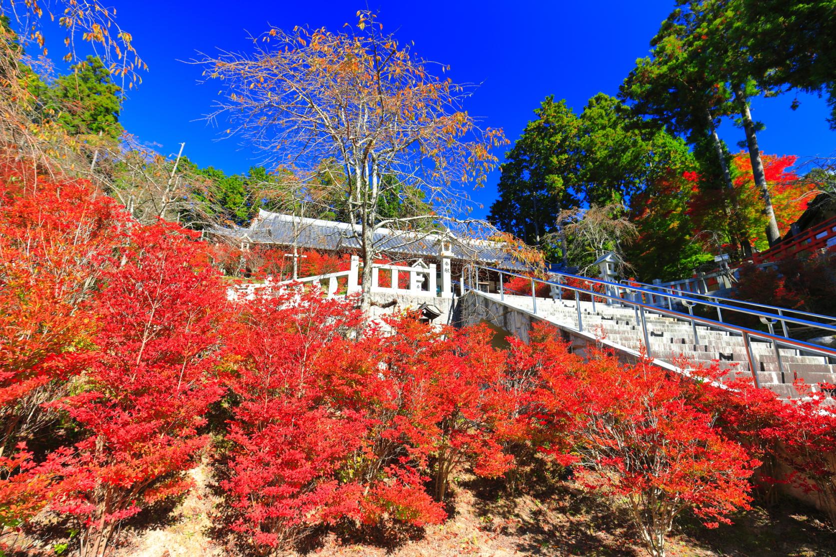 呑山観音寺-8