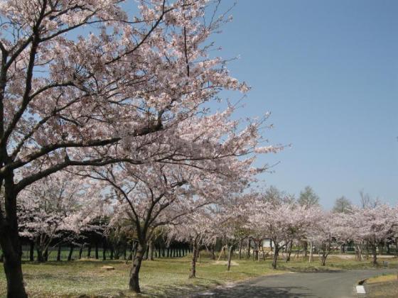 福岡県緑化センター-3