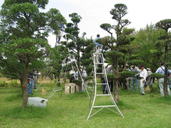 福冈县绿化中心-9