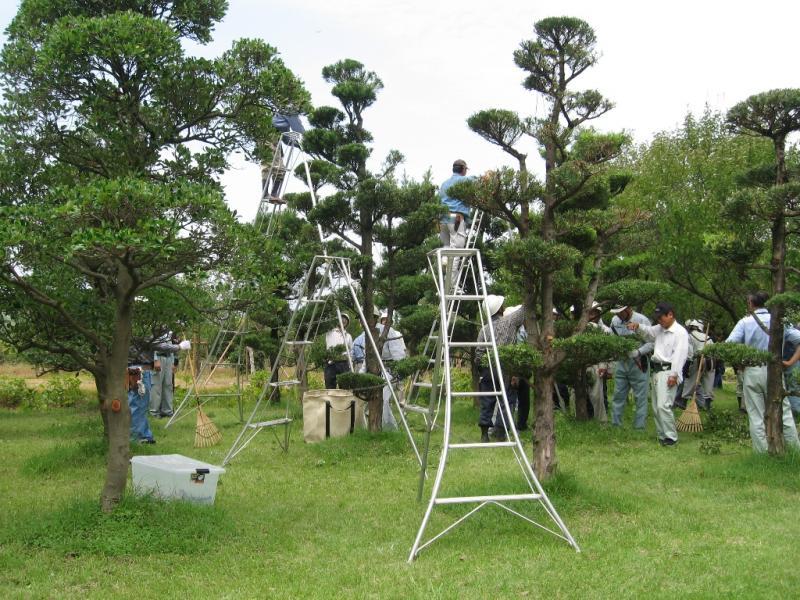 福冈县绿化中心-9