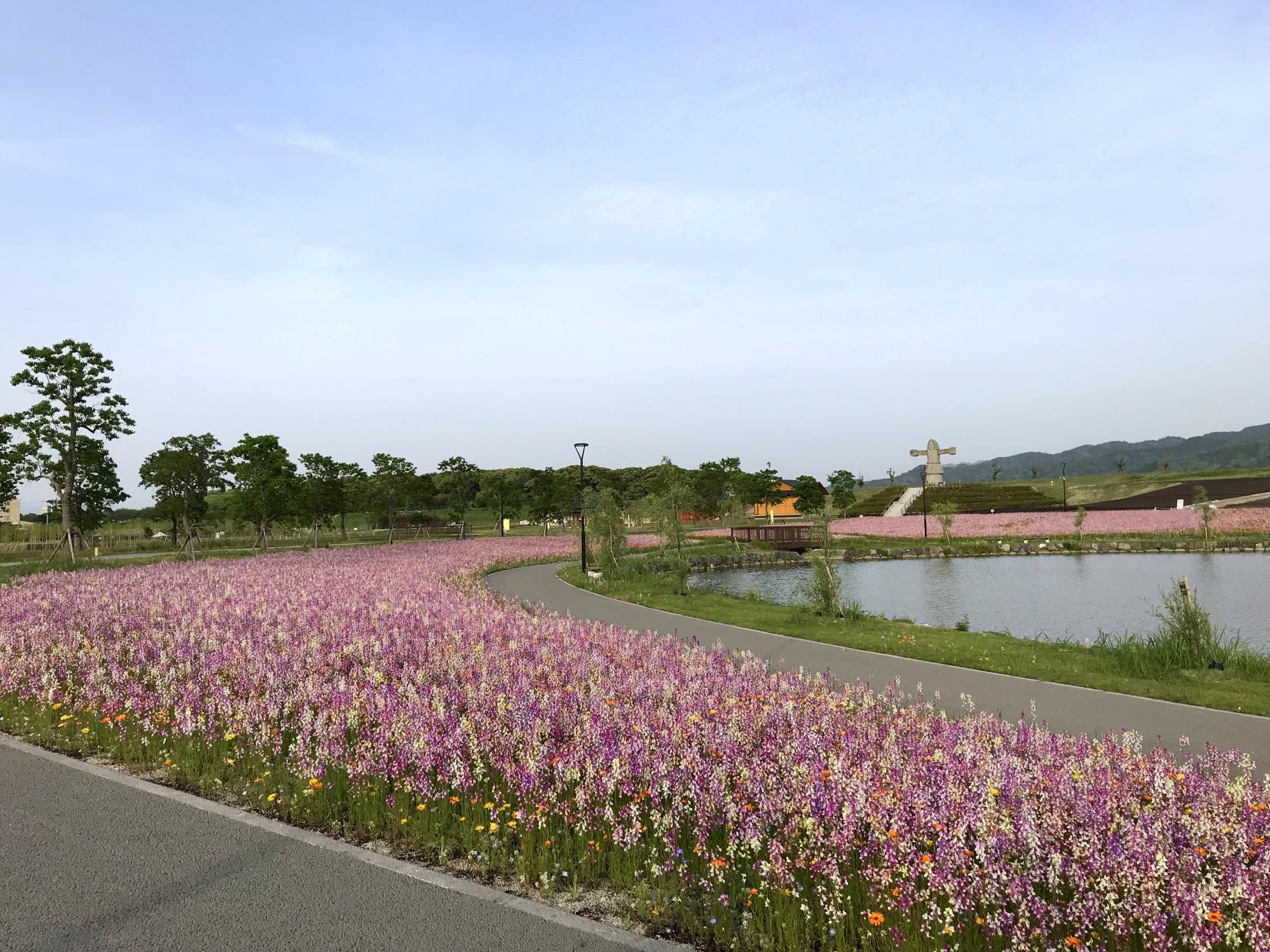 福岡県営筑後広域公園-2