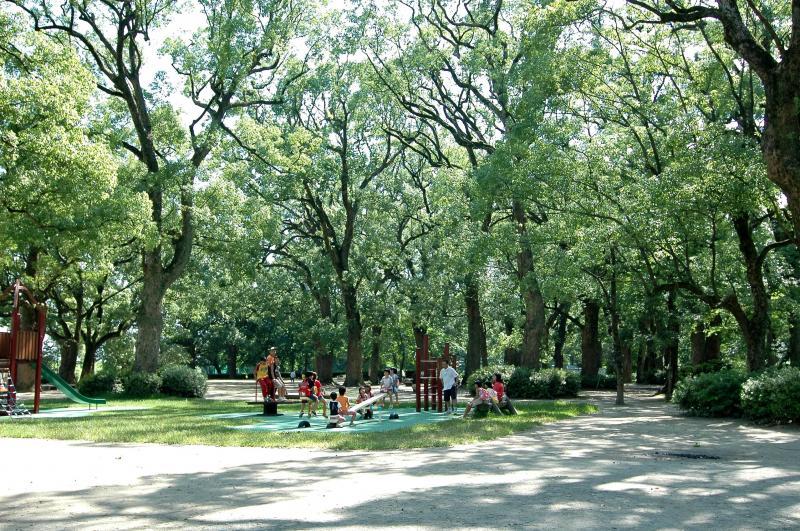 福岡県営筑後広域公園