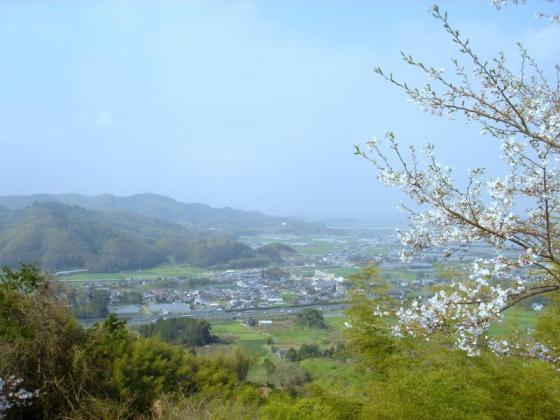 みかんの里展望公園-0