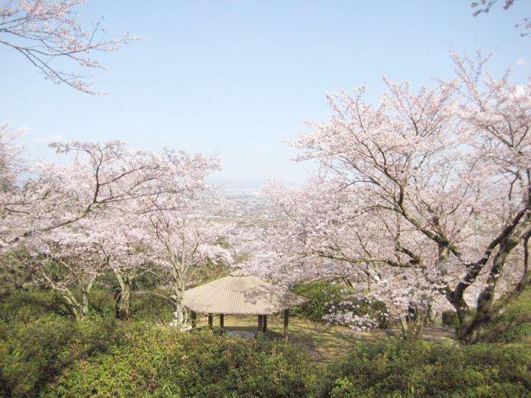 発心公園 | 観光スポット | 【公式】福岡県の観光/旅行情報サイト「クロスロードふくおか」