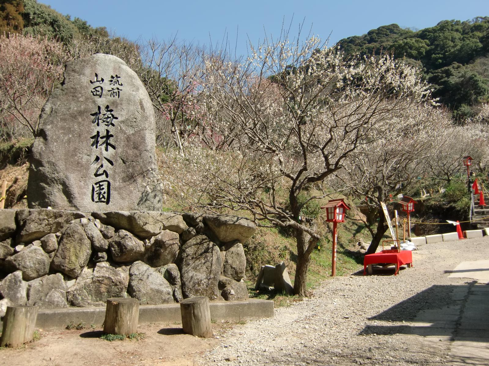 嘉麻市梅林公園-1