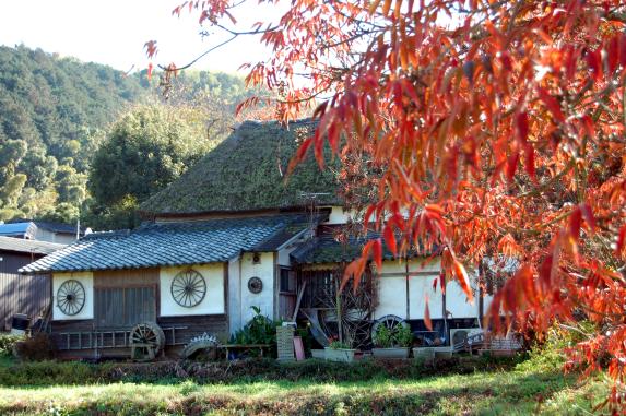 柳坂ハゼ祭り-4