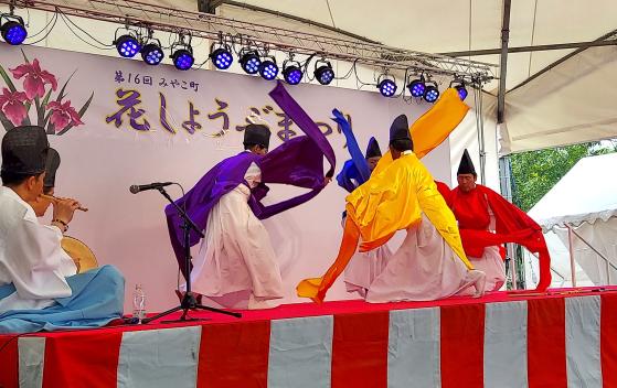 菖蒲花祭典（豐津運動公園）-4
