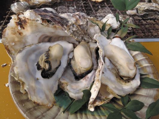 Itoshima “Oyster Alley”-1