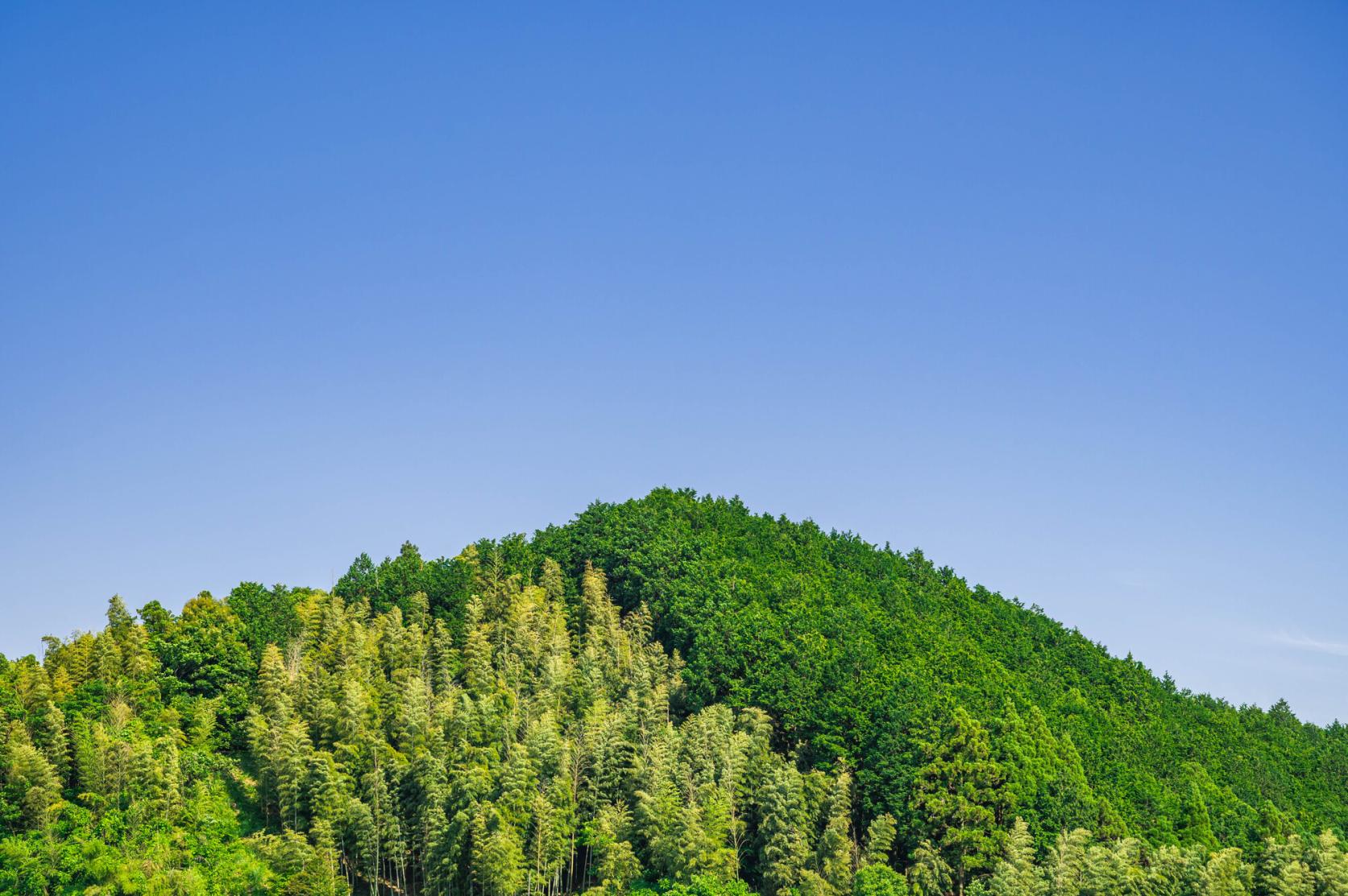 天拜山