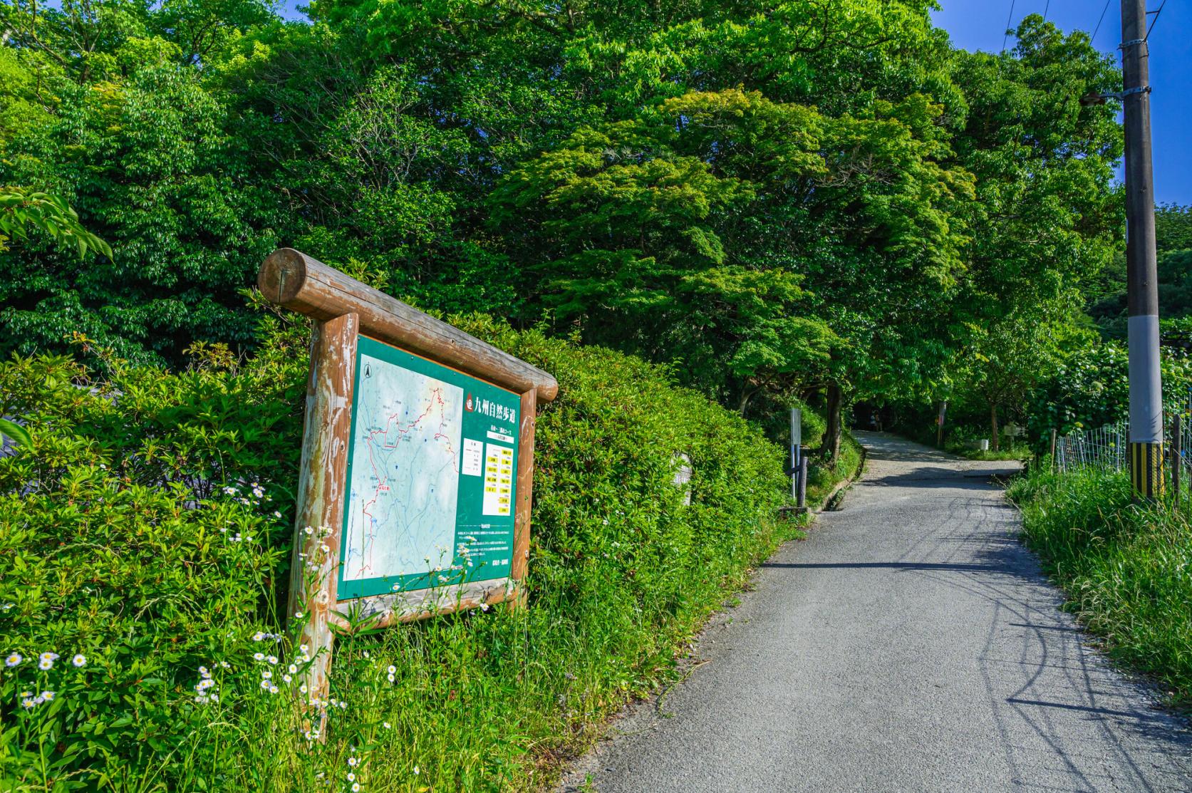 Mt. Tenpyo-4