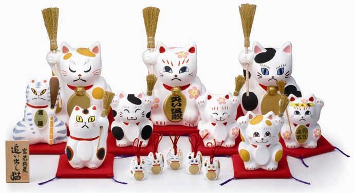 宮若追い出し猫-5