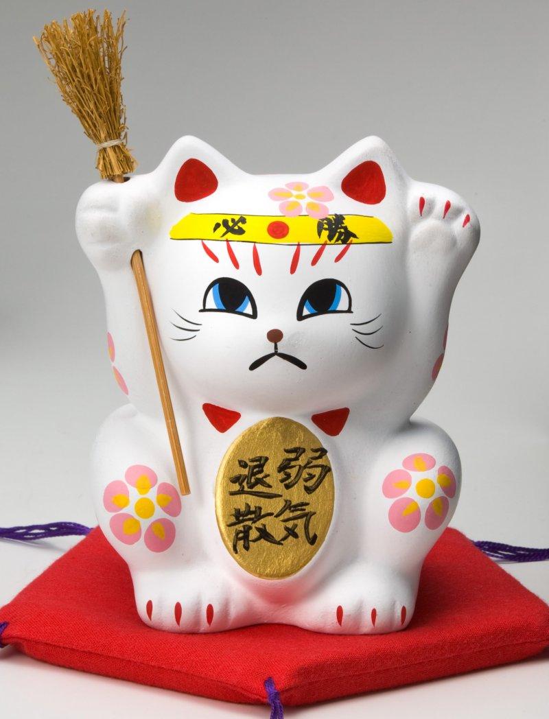 宮若追い出し猫-4