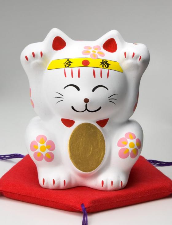 宮若追い出し猫-0