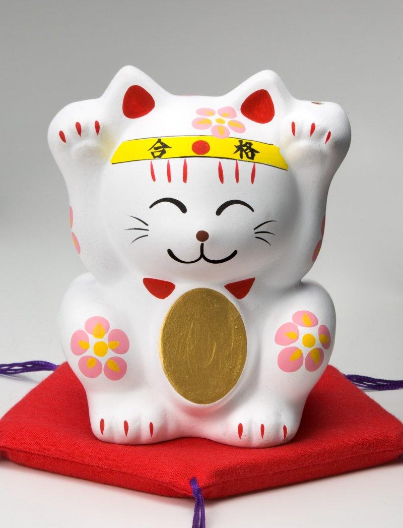 宮若追い出し猫