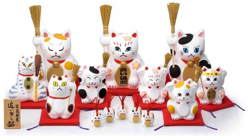 宮若追い出し猫-1