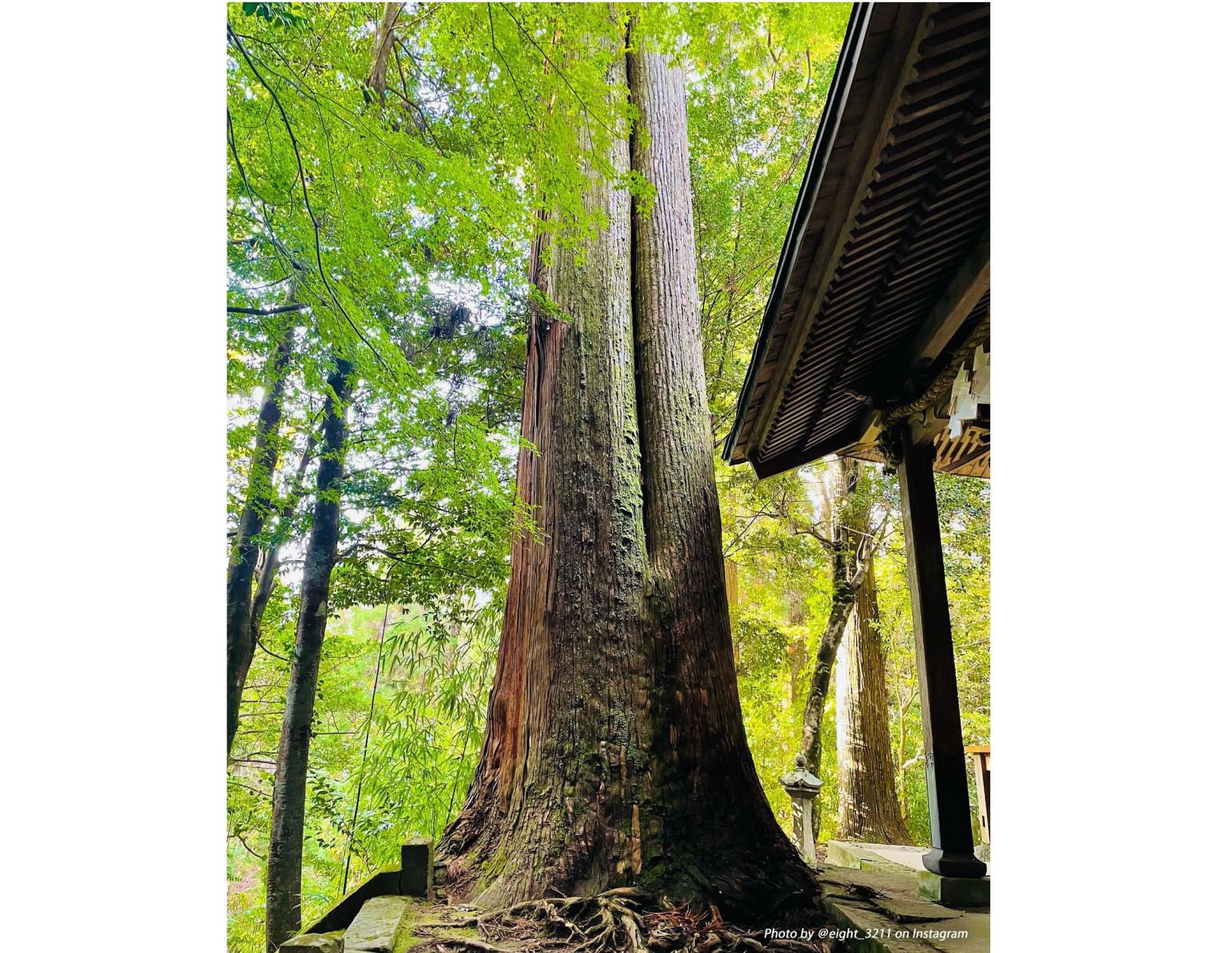 室山熊野神社-1