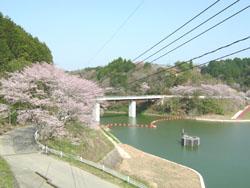 Hirokawa Dam, Hirokawa Dam Park