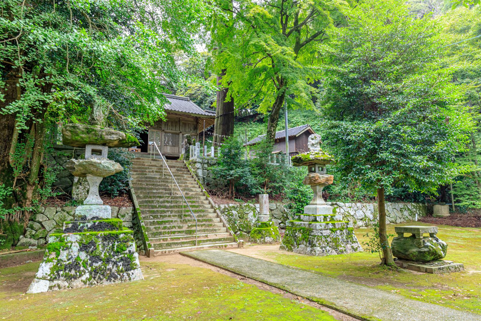 雷神社公孙树-8