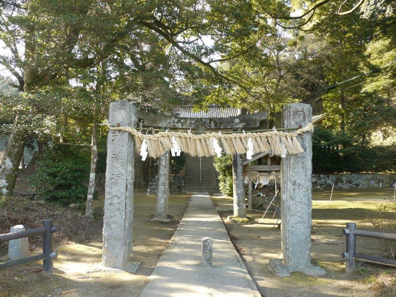 雷神社の公孫樹-9