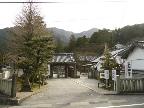 雷山千如寺大悲王院のビャクシン-1