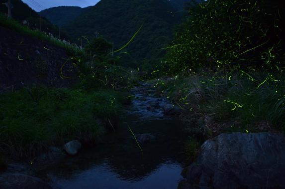 猪野川-5
