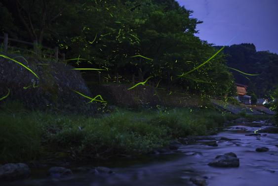 猪野川-0