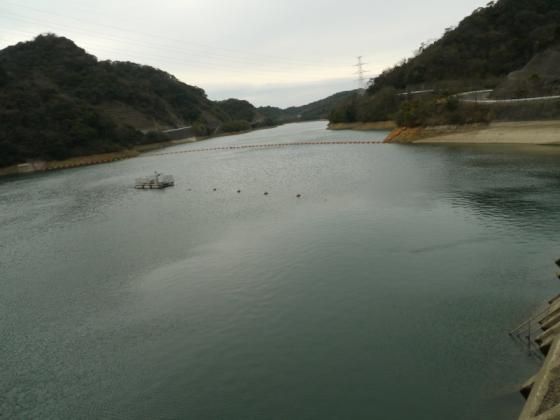 Hase Dam-1