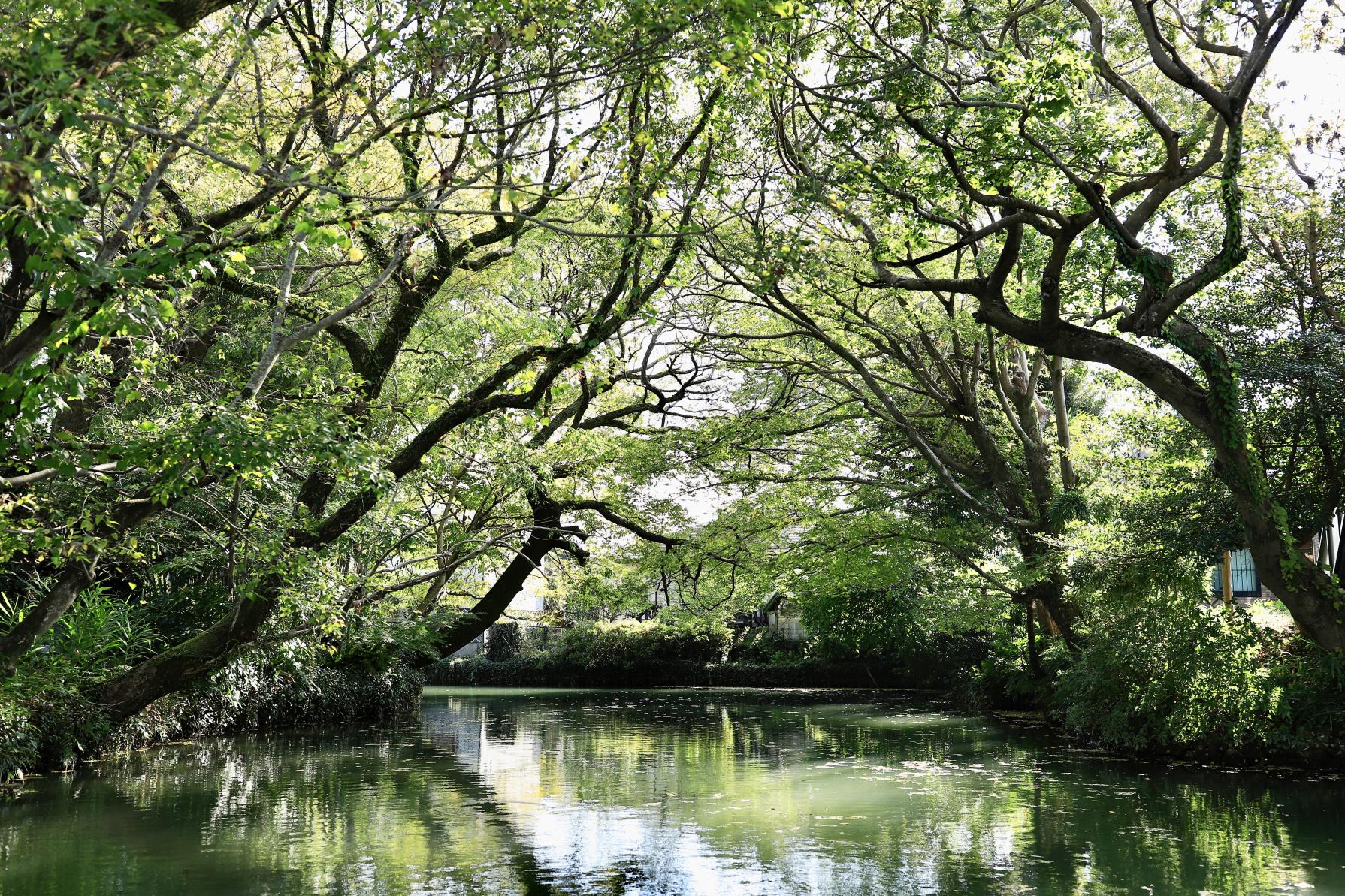 水郷柳川観光-4