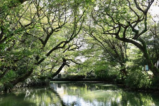 水郷柳川観光-4