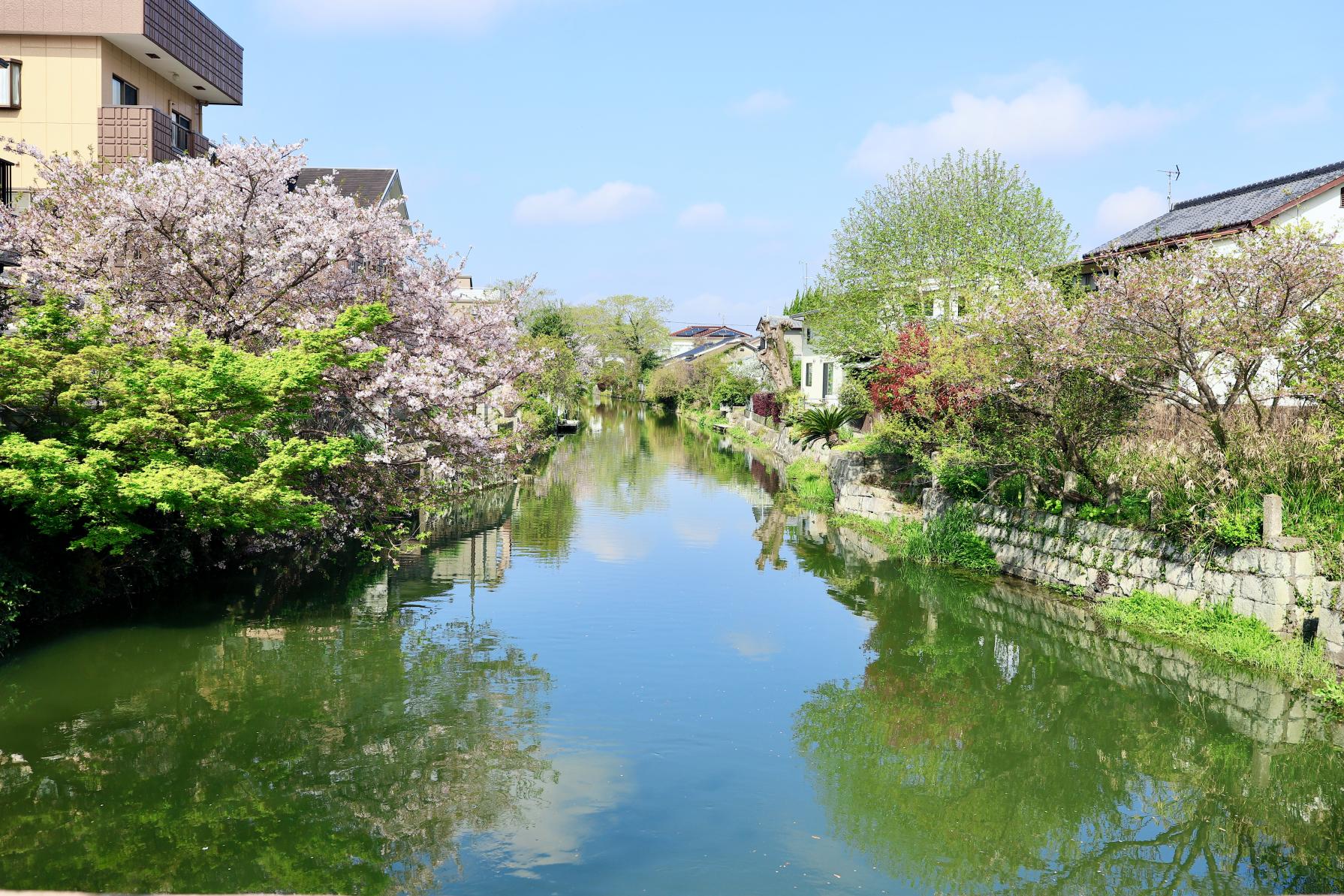 水郷柳川観光-5