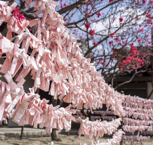 多賀神社-1