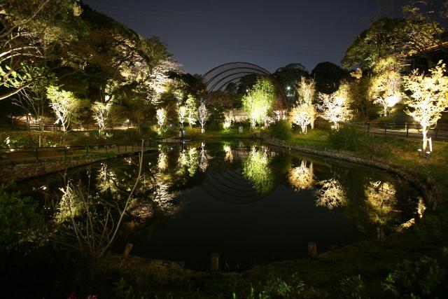 ITOZU YORU ZOO ～夜の動物園～-0