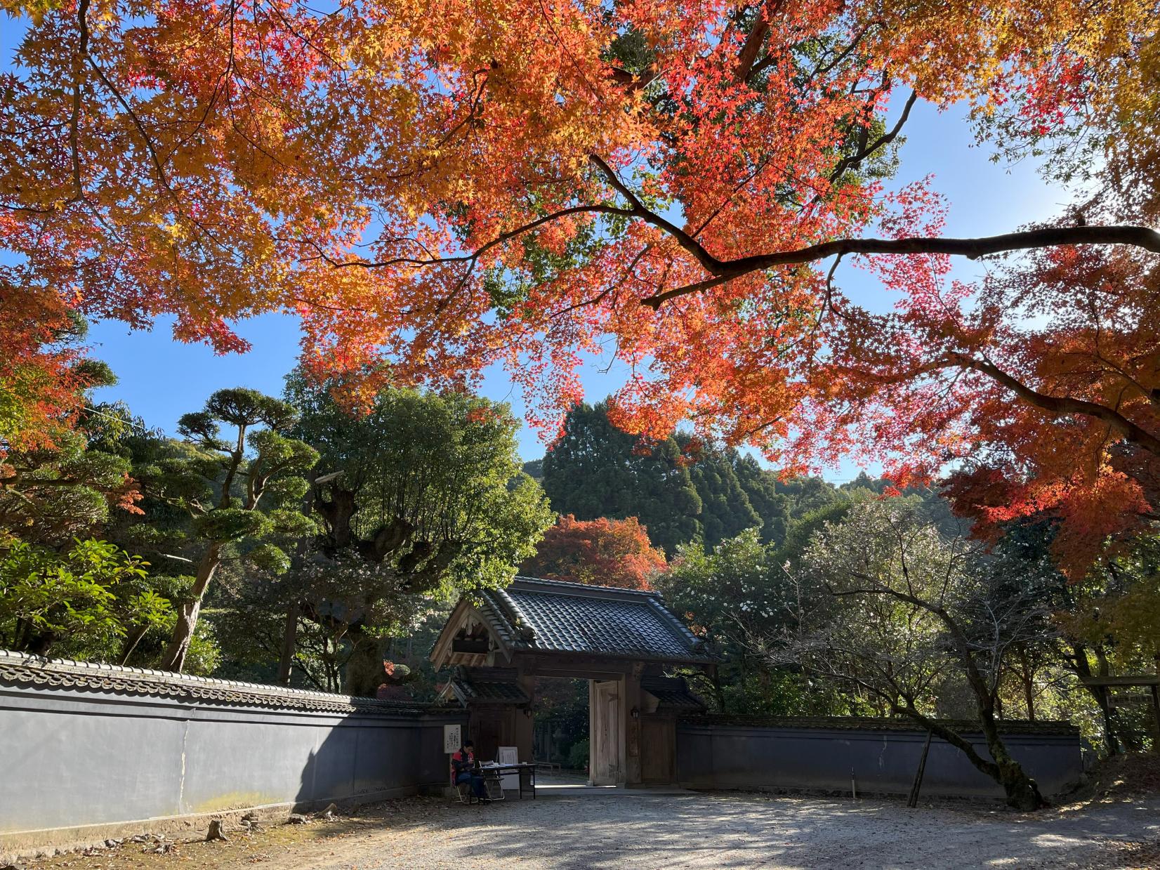 麻生大浦荘　紅葉特別公開-1
