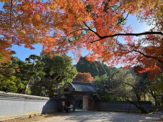 麻生大浦荘　紅葉特別公開-1