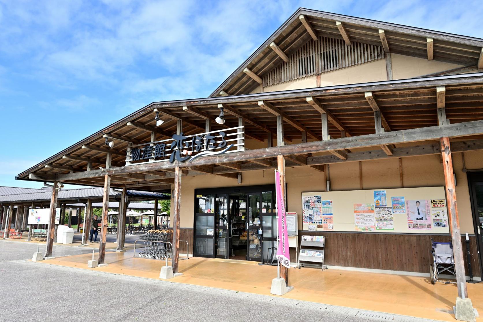 가와노에키 후나고야 고이보타루-3