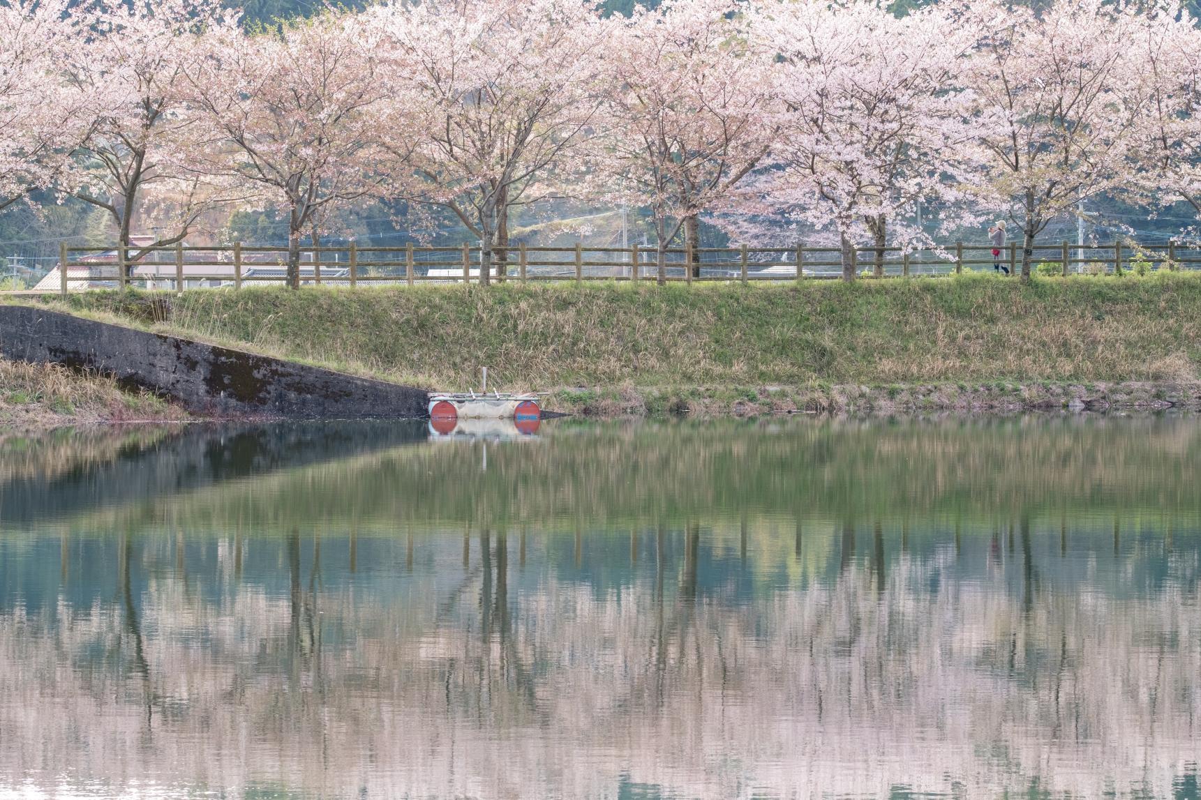 炭焼池公園