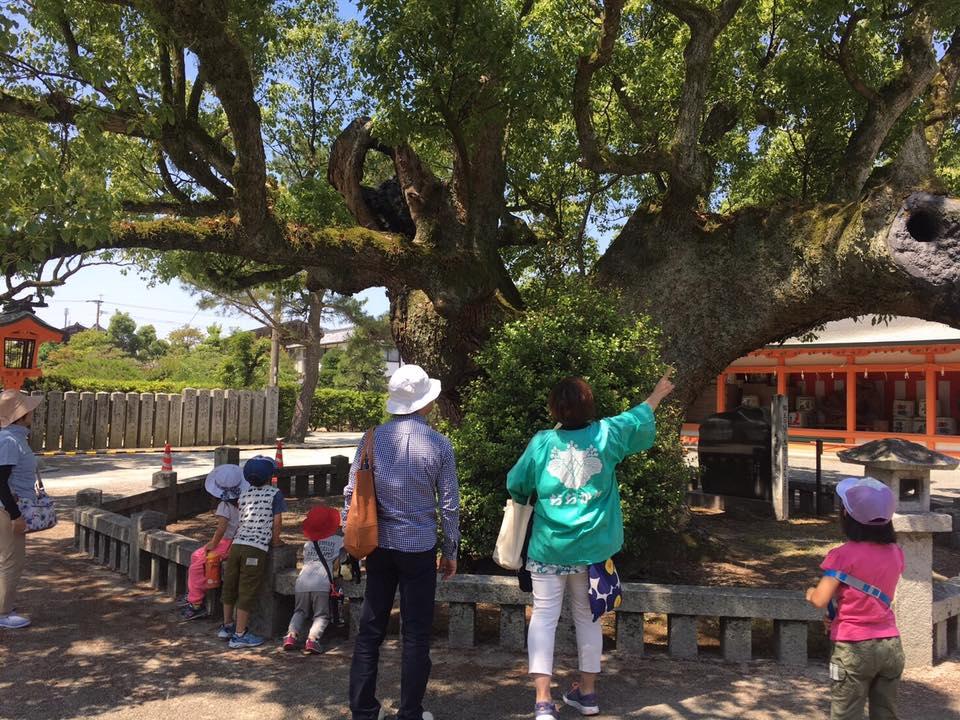 大川観光ガイドの会-5