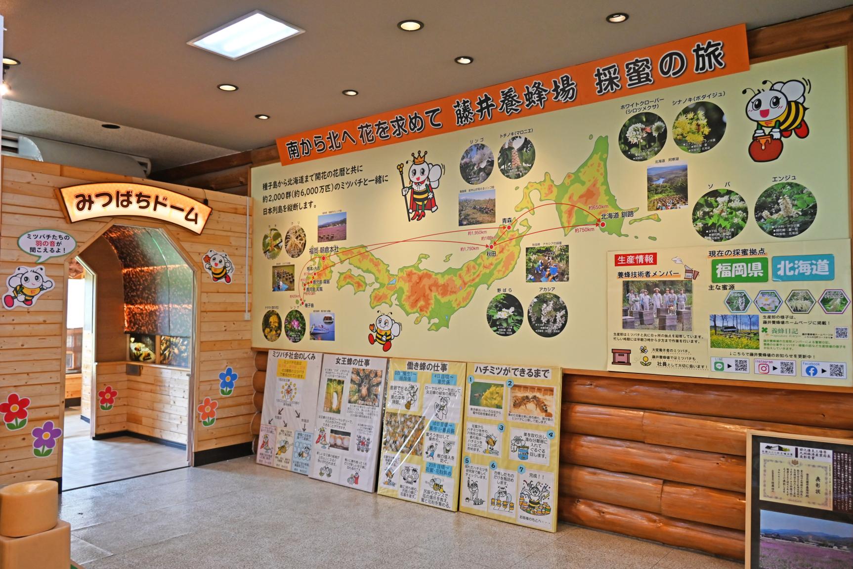 Fujii Bee Farm - Fujii Honey direct sales store-7